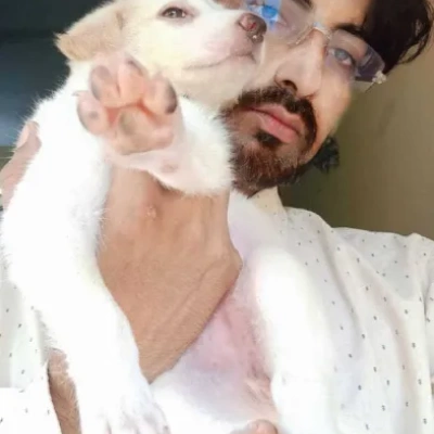 Pomeranian puppies for sale in Ajmer